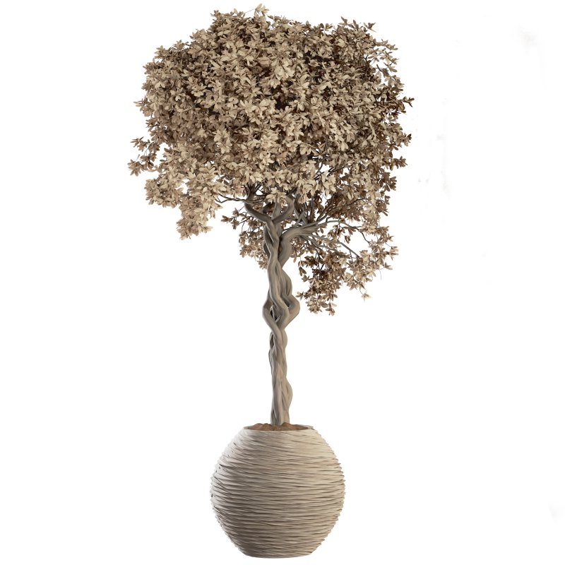 Indoor Plant Set 030 - Image 3