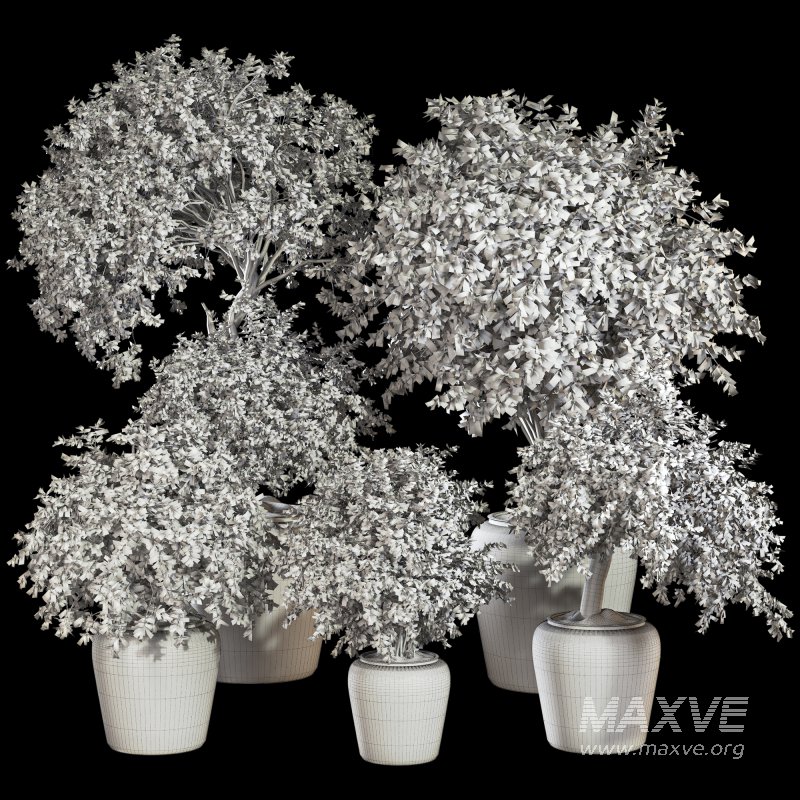 Indoor Plant Set 029 - Image 7