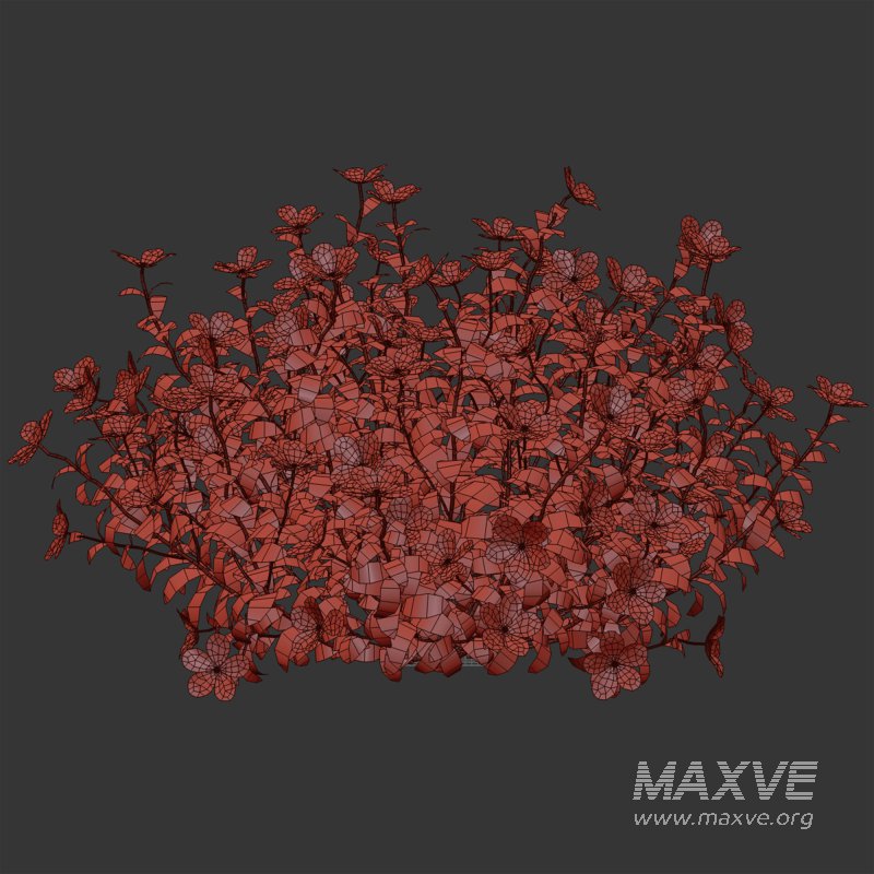 White Phlox Bush Arrangement - Image 7