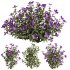 Purple Phlox Bush Arrangement - Thumbnail 7