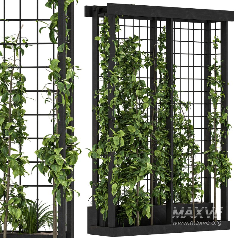 Vertical Garden Trellis 02 - Image 7