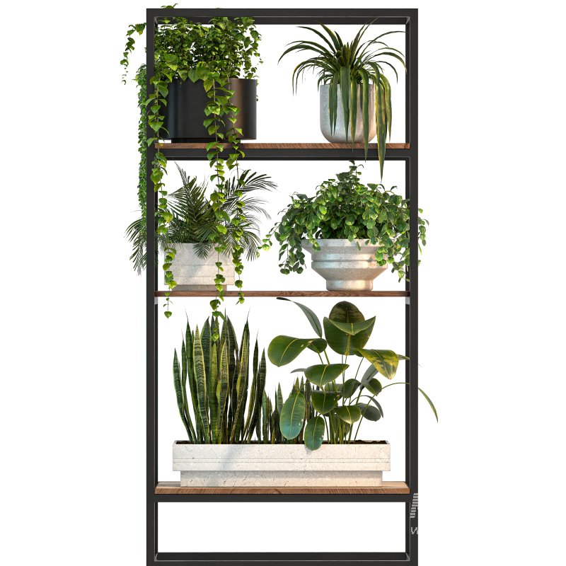 Metal Stand & Wooden Shelf Plant - Image 4