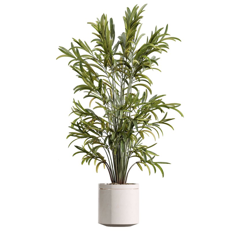 AV Indoor Plants Set 388 - Image 2