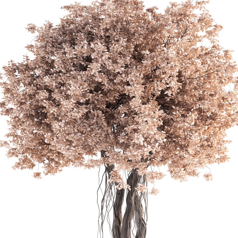 Indoor Plant Set 031 - Image 3