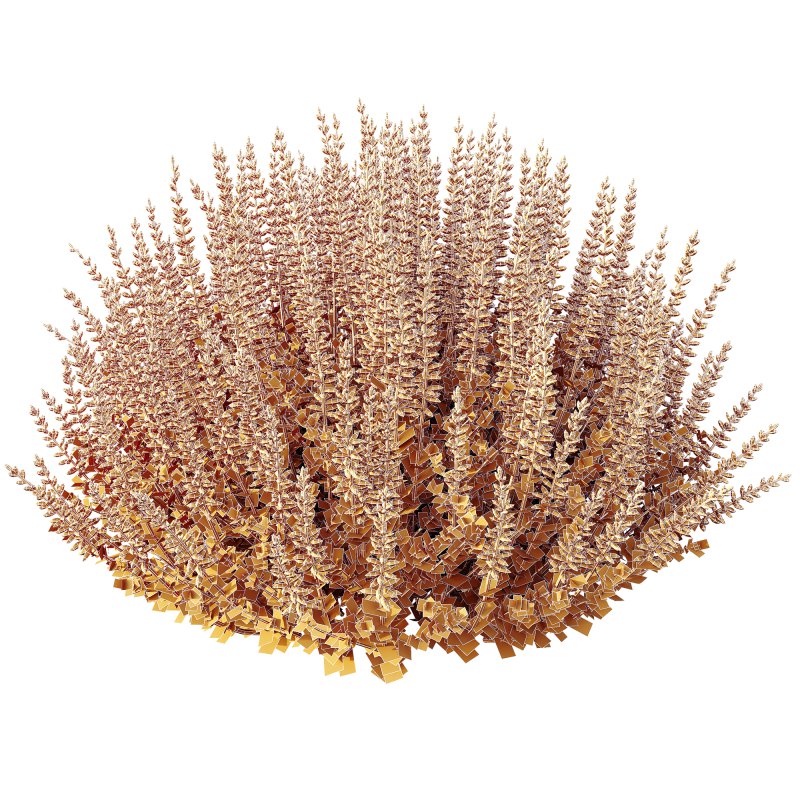 AV Spring bushes Spiraea Cinerea Grefsheim Flowering and Calluna Vulgaris Helena - Image 7