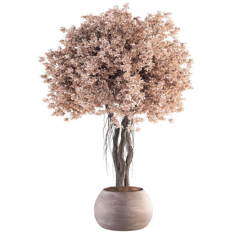 Indoor Plant Set 031 - Image 2