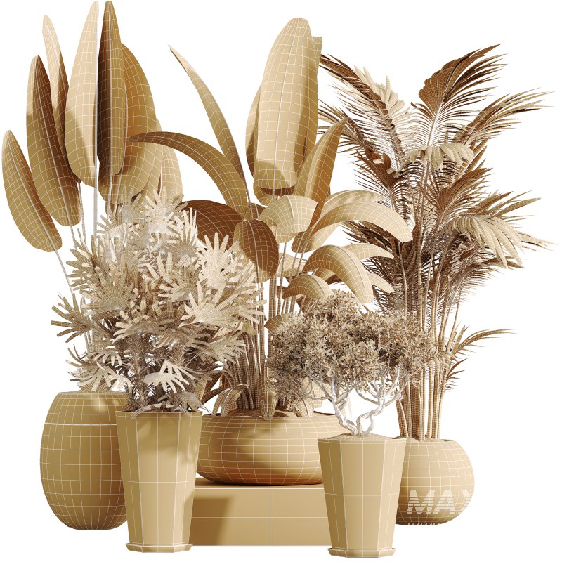 AV Indoor Plants Set 356 ParadiseBird and Arbequina Olive and Areca Palm and Rhapis Excelsa - Image 7