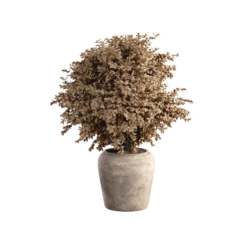 Indoor Plant Set 029 - Image 6