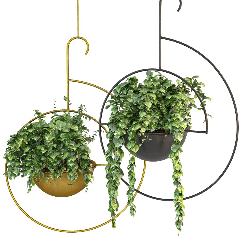 Metal hanging plants 06 - Image 3