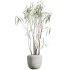 AV Indoor Plants Set 389 Ficus lyrata Fiddle Leaf and Yucca Aloifolia Rostrata and Ficus Dracaena Marginata - Thumbnail 1