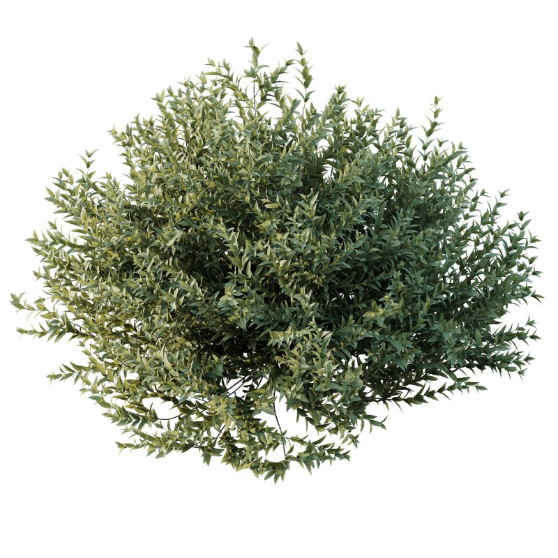 ntal evergreen shrubs, designed with exceptional precision for architectural visualization and landscape rendering. - Image 1