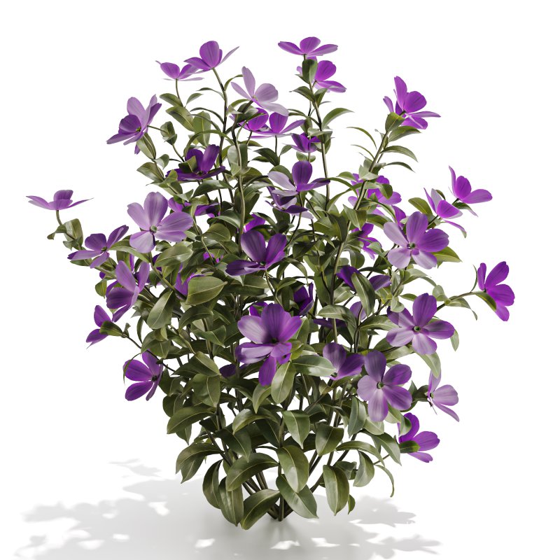 Purple Phlox Bush Arrangement - Image 2