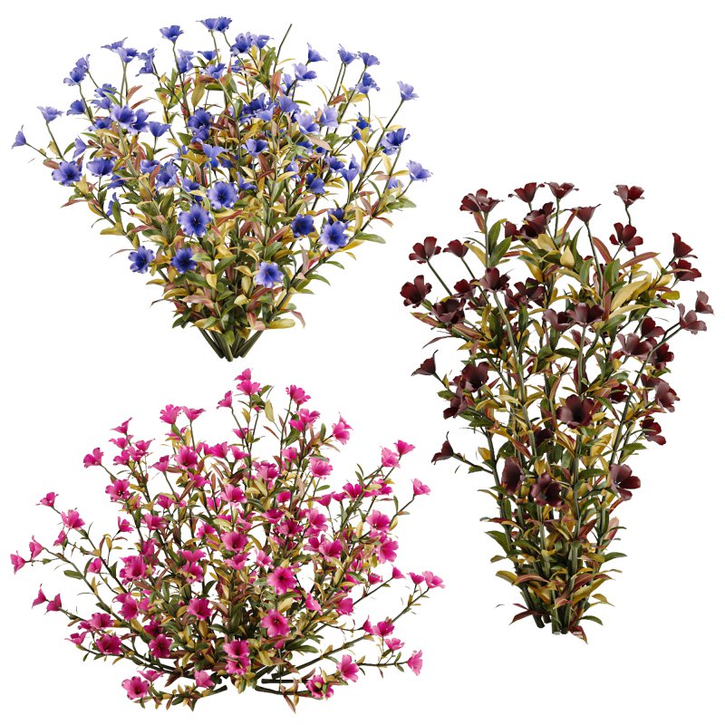 Multicolor Phlox Bush Arrangement - Image 4