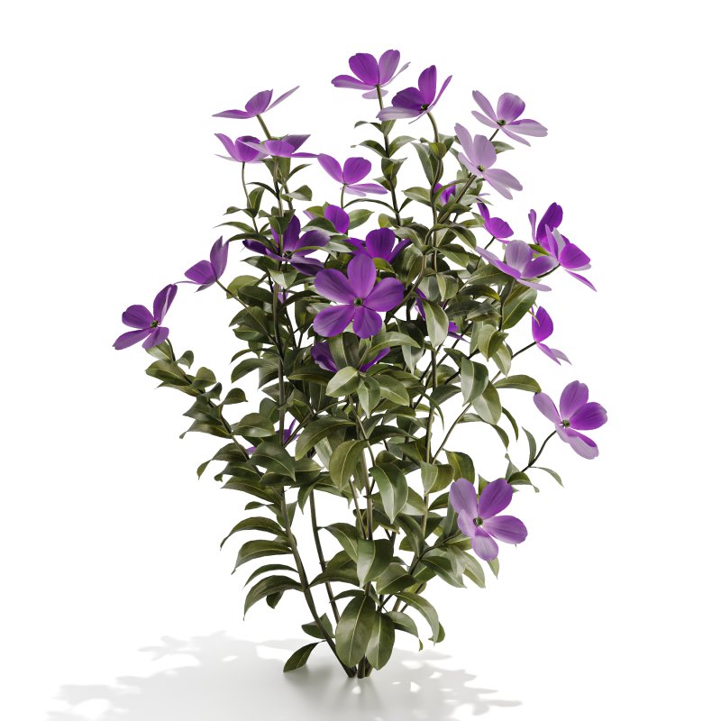 Purple Phlox Bush Arrangement - Image 3