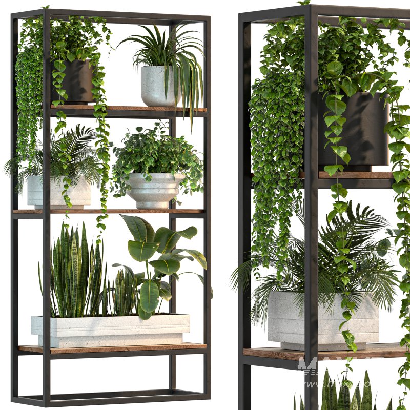 Metal Stand & Wooden Shelf Plant - Image 6