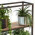 Metal Stand & Wooden Shelf Plant - Thumbnail 8