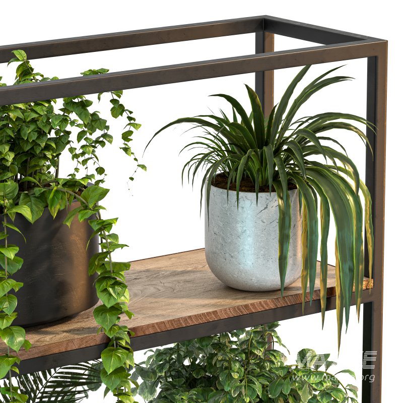 Metal Stand & Wooden Shelf Plant - Image 8