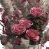 Romantic Pink Roses with Pampas in Ceramic Vase. Bouquet of flowers set 003 - Thumbnail 6