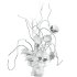 bouquet - Thumbnail 4