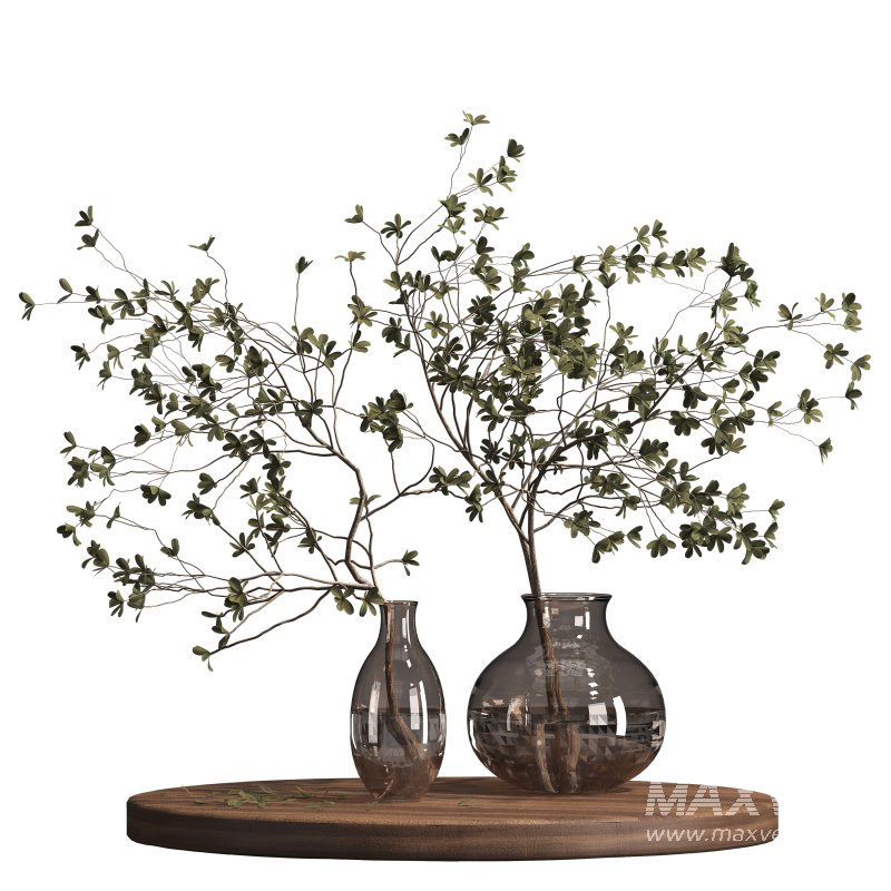 Indoor plant 075 - Image 4