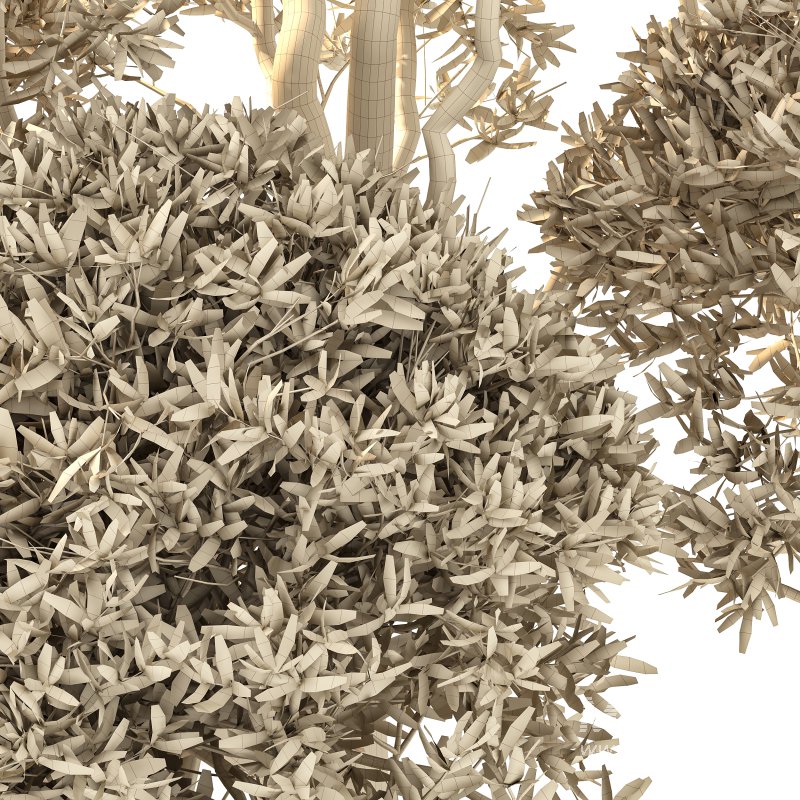 Autumn Shaped Tree - Image 3