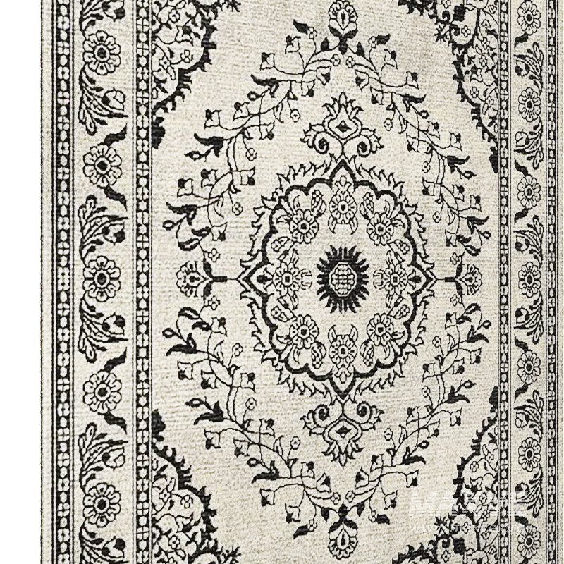 Rug 025 - Image 5