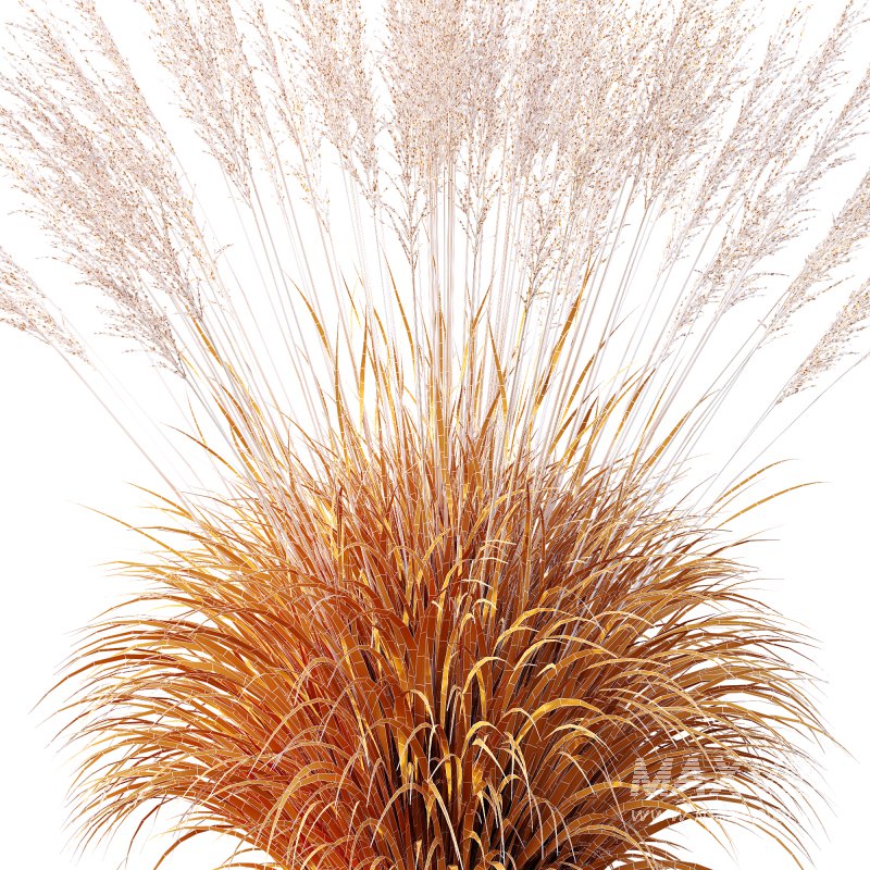 ntal grasses, designed for photorealistic landscape visualizations. - Image 11