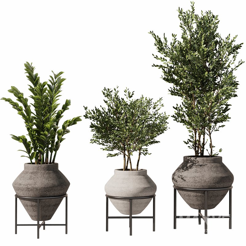 Indoor Plants Set 101 - Image 5