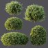 ntal shrubs, carefully crafted for high-quality landscape and architectural visualization. - Thumbnail 8