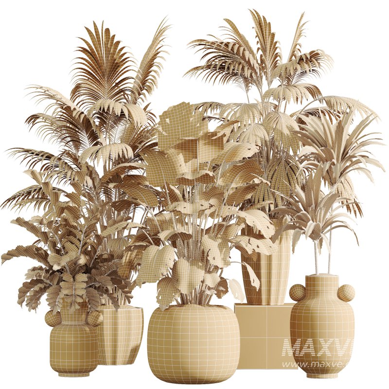 AV Indoor Plants Set 397 Zamiifolia and Giant Monstera and Dracaena Warneckii Lemon and Areca Palm - Image 16