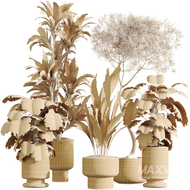 AV Indoor Plants Set 372 Monstera and Aspidistra and Japandi and Dracaena Warneckii - Image 9