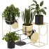 Modern Planters With Geometric Designs 02 - Thumbnail 6