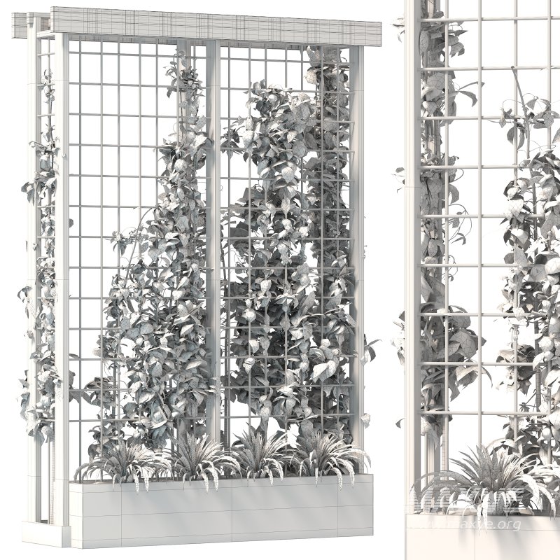 Vertical Garden Trellis 02 - Image 4
