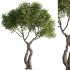 Tree Set38 - Thumbnail 1