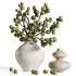 Green fig branches in artistic vases - Thumbnail 3