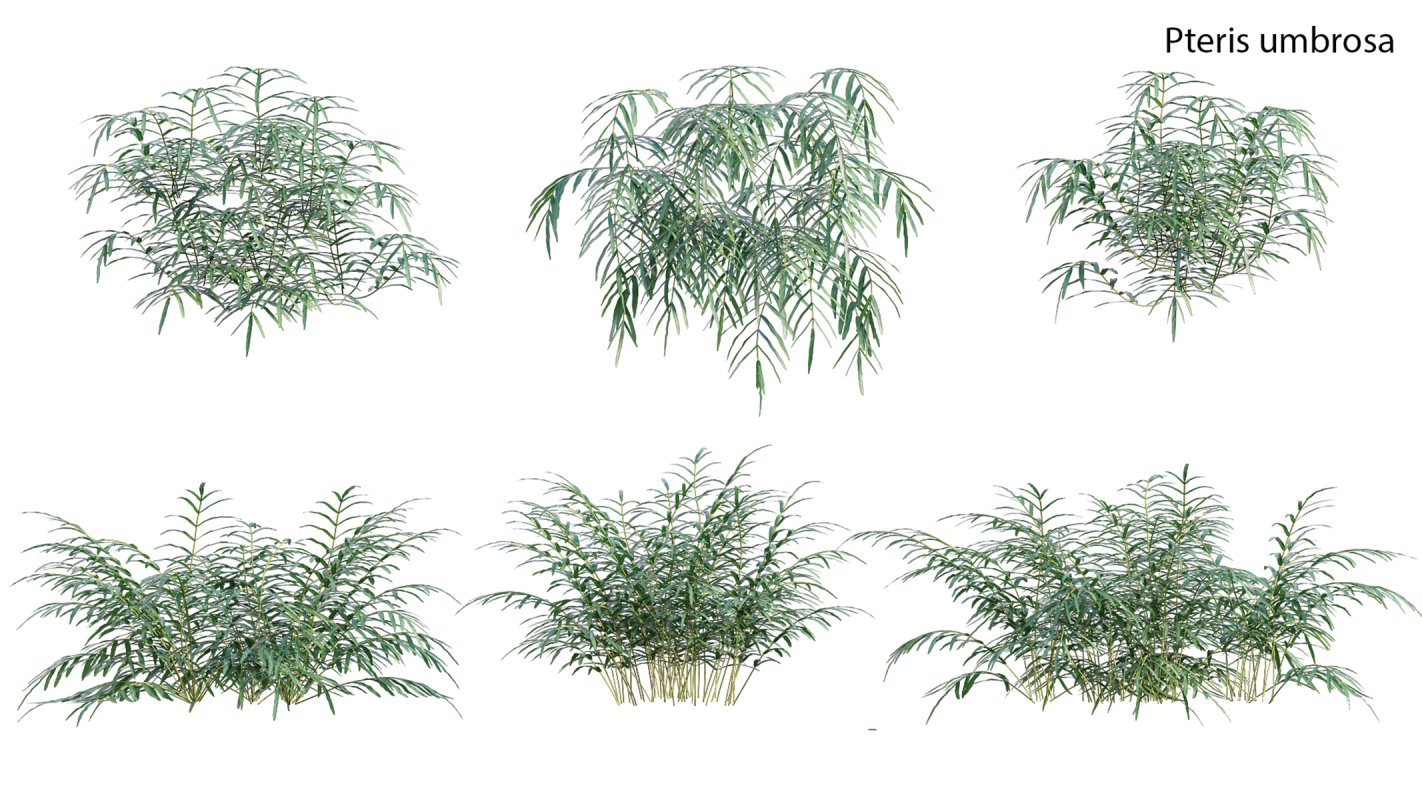 Collection 21 – Vertical garden – Green wall - Image 20