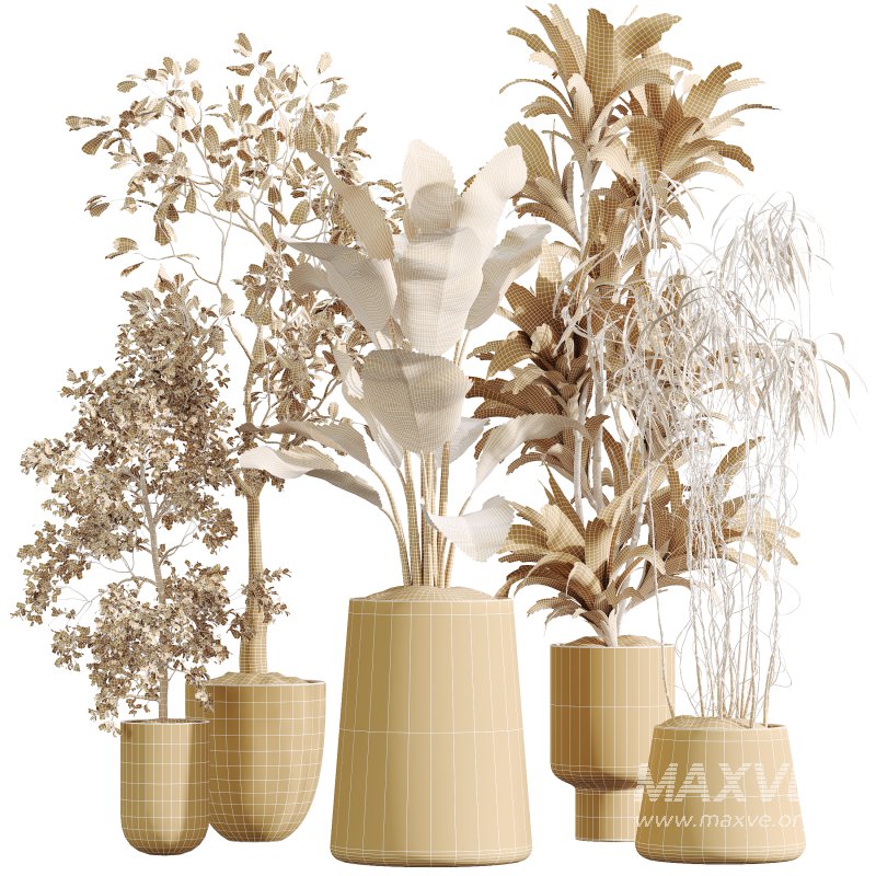 AV Indoor Plants Set 400 Japandi Decorative and Dracaena Warnecki and Bird Of Paradise and Mission Olive - Image 7