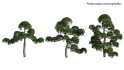 Collection 19 – Japanese garden - Thumbnail 45
