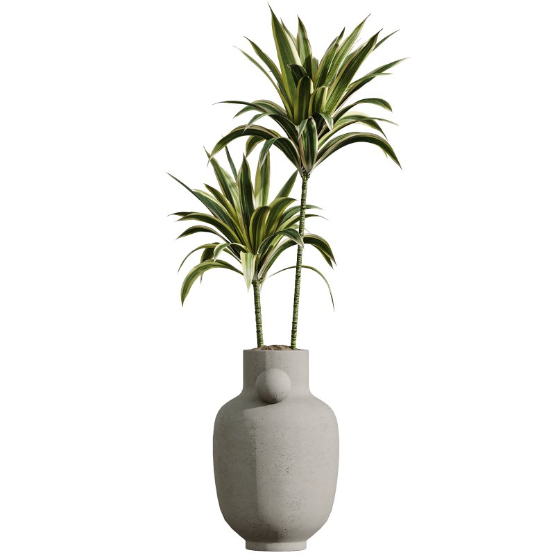 AV Indoor Plants Set 397 Zamiifolia and Giant Monstera and Dracaena Warneckii Lemon and Areca Palm - Image 1