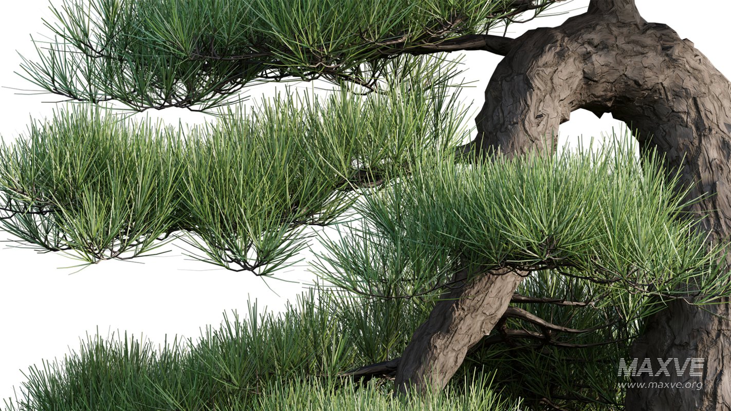 Collection 19 – Japanese garden - Image 36