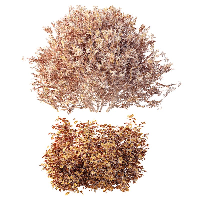 ntal shrubs, designed with botanical precision for photorealistic exterior rendering. - Image 10