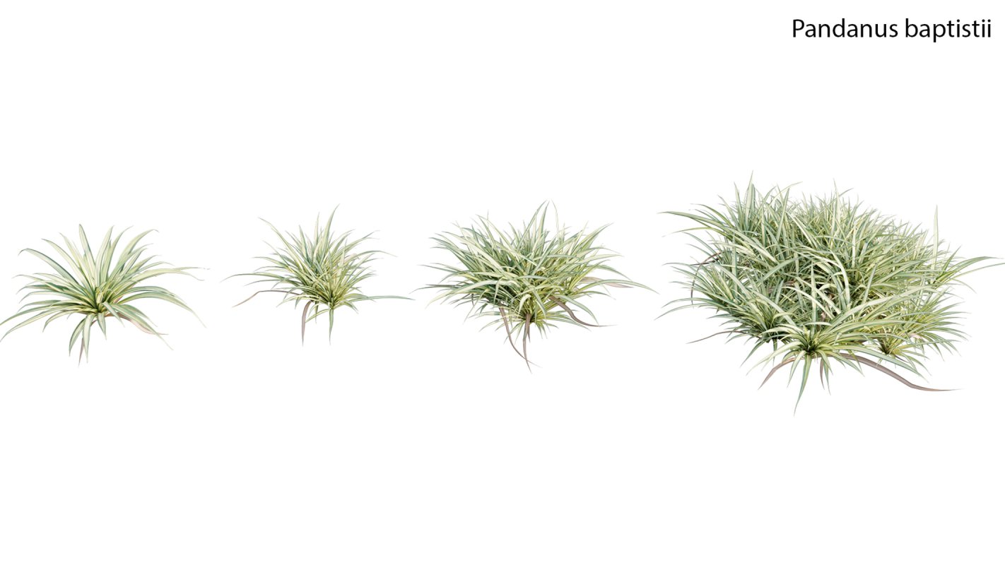 Collection 19 – Japanese garden - Image 26