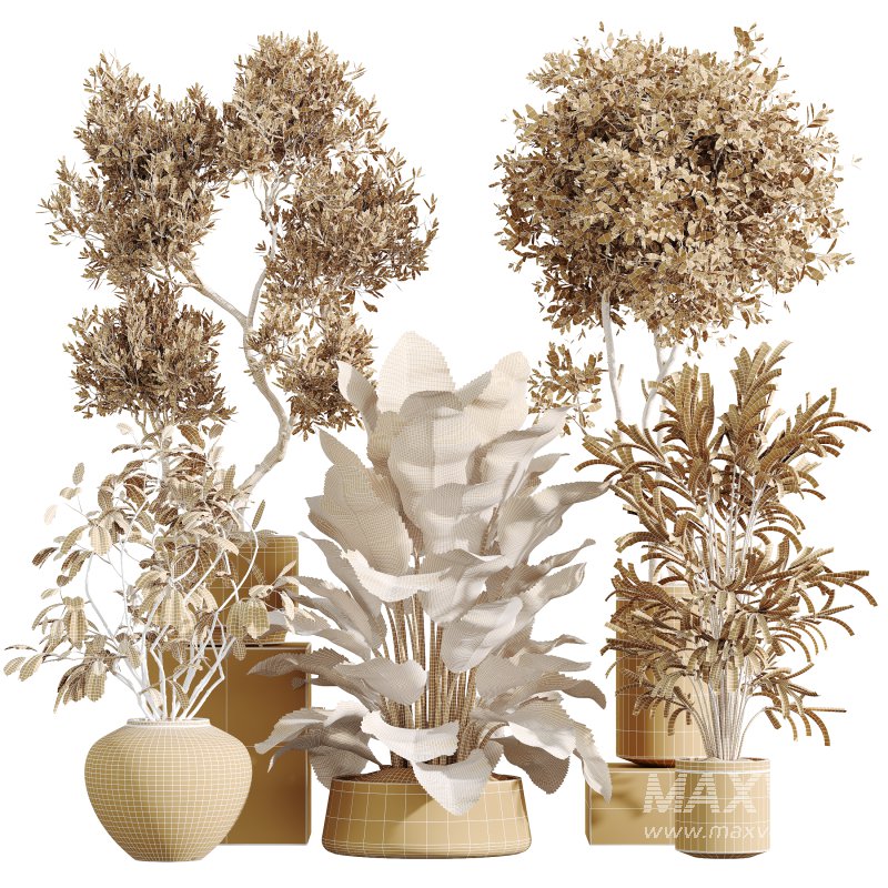 AV Indoor Plants Set 388 - Image 9