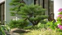 Collection 19 – Japanese garden - Thumbnail 3