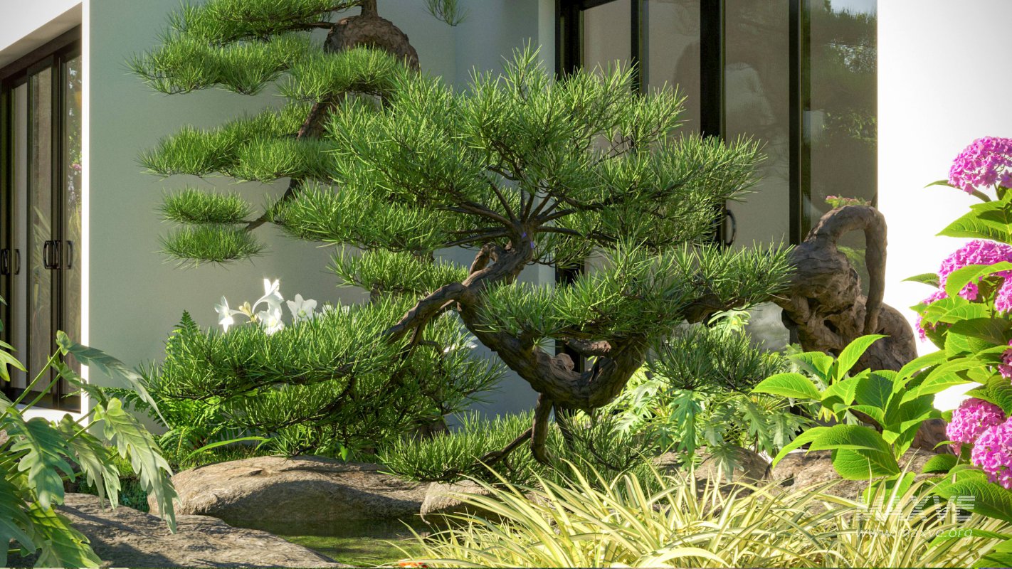 Collection 19 – Japanese garden - Image 3