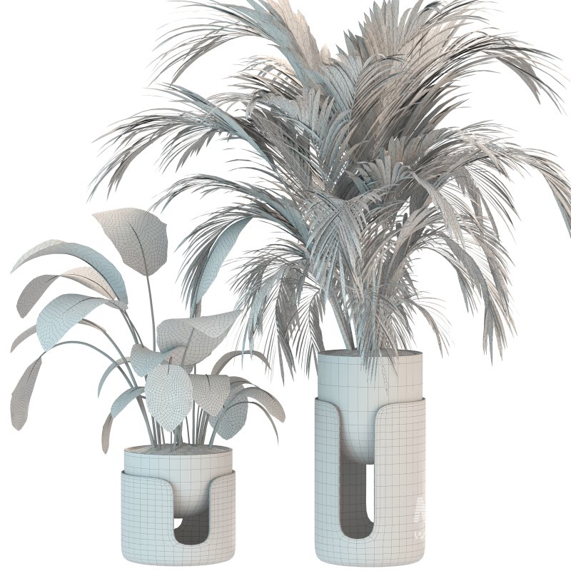 Plant Set 12 - Image 1