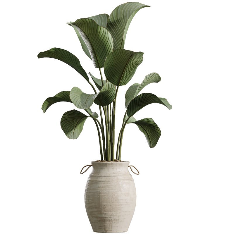 AV Indoor Plants Set 392 - Image 5