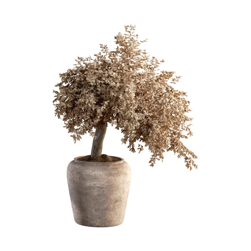 Indoor Plant Set 029 - Image 5