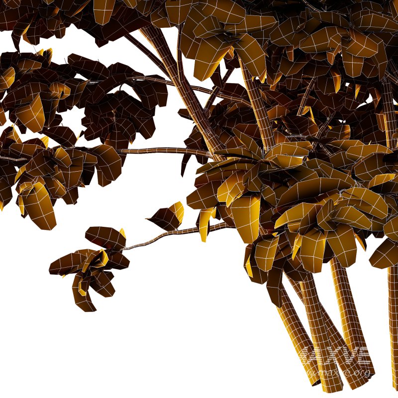 Philadelphia Bush 07 - Image 3