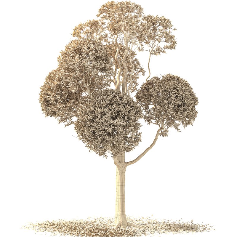 Autumn Shaped Tree - Image 1